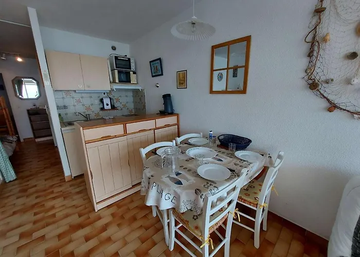 شقة T2 En Front De Avec Terrasse A Agde - 5/6 Couchages - Fr-1-423-191